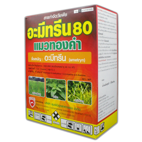 อะมีทรีน 80 แมวทองคำ - Image 2