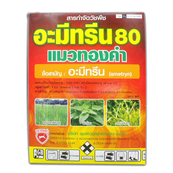 อะมีทรีน 80 แมวทองคำ