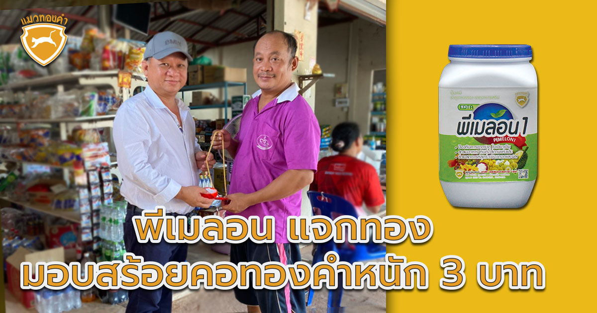 You are currently viewing พีเมลอน แจกทอง มอบสร้อยคอทองคำหนัก 3 บาท