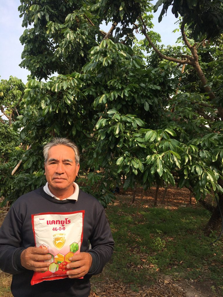 ใช้สินค้า แคทยูโร