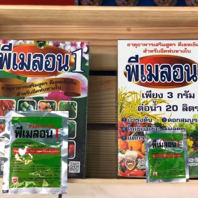 83934006_2801736726562657_5752235006449680384_o (1)